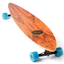 Arbor Groundswell Fish 37" pintail complêt