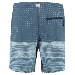 Evolver boardshort blue AOP